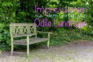 Impressionen Garten von Odile Landragin
