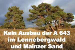 Lennebergwald und Mainzer Sand erhalten