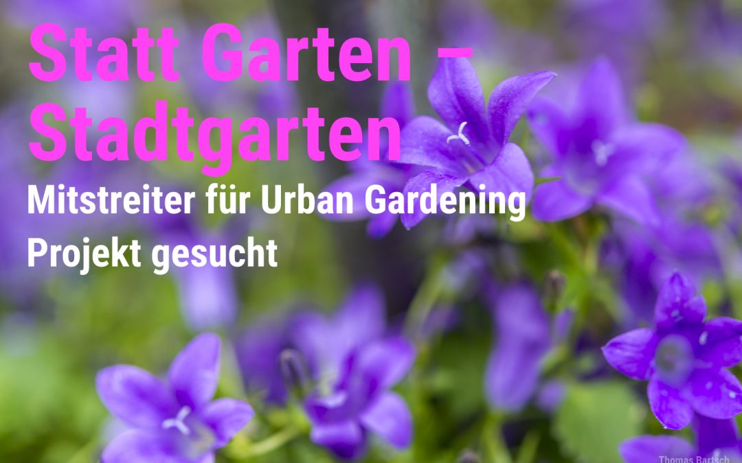 Statt Garten – Stadtgarten